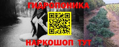 крисы Тара