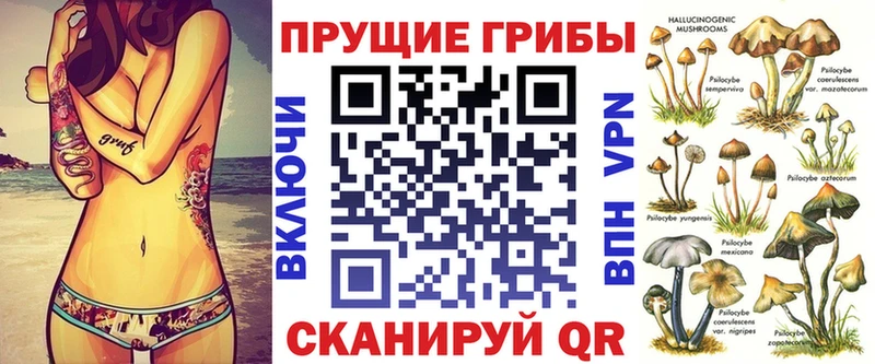 Псилоцибиновые грибы мицелий  цены   Советская Гавань 