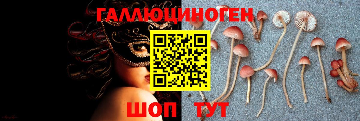Галлюциногенные грибы прущие грибы  Галлюциногенные грибы Psilocybine cubensis  купить   Советская Гавань  Вход с VPN 