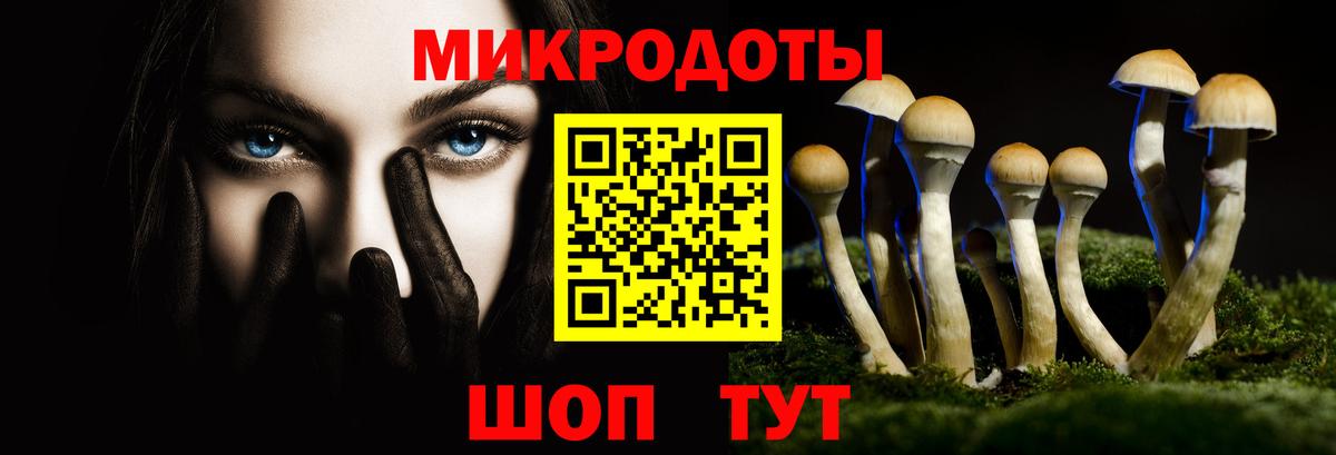 Галлюциногенные грибы мицелий Советская Гавань